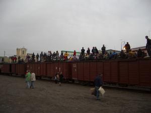 The Gringo Train