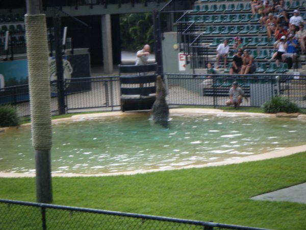 Steve Irwins Australia zoo