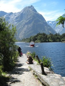 The End of the Trail in Milford Sound