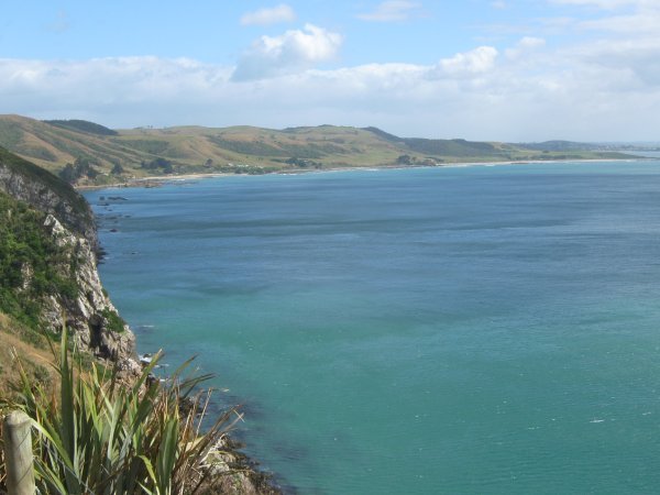 View from Nugget Point