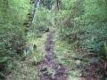 The Muddy Trail