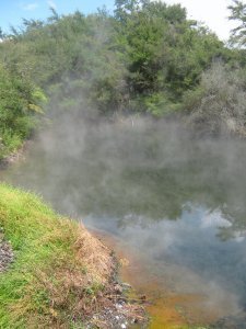 Rotoroa Boiling Lake