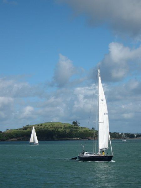 Sailboats in Auckland's Bay
