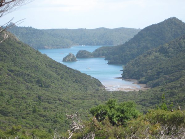 A Bay on Great Barrier island