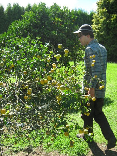 Sean in the Orchard