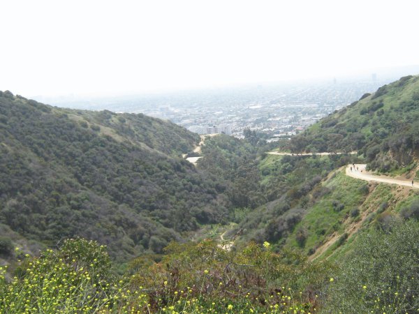 Park Overlooking LA