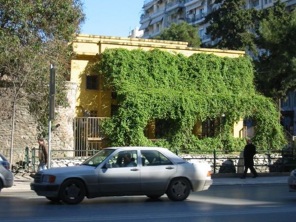 Plant Covered Building Salonika
