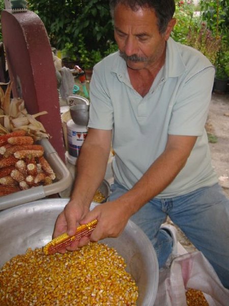 Michael and corn kernels