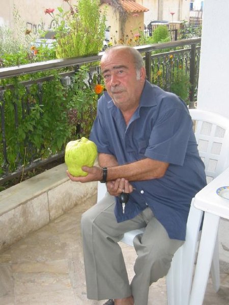 Spiros and huge quince