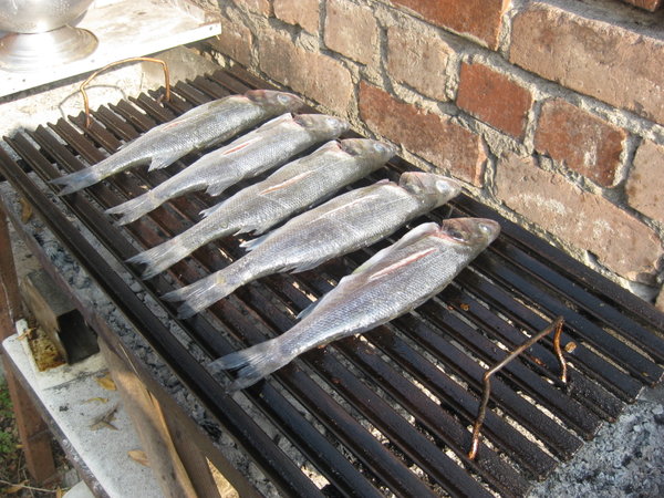 Fish over Coals