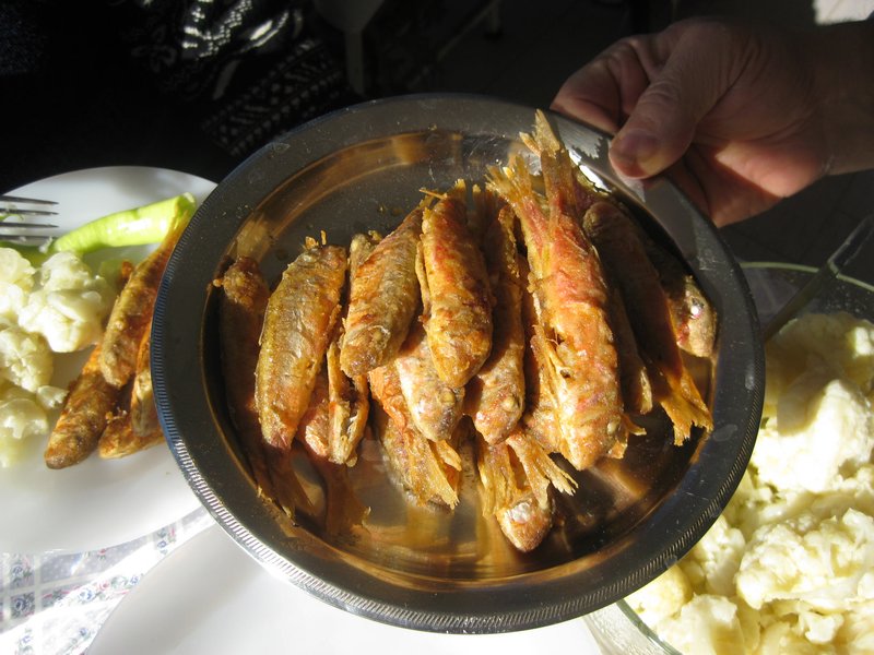 Fried  small red mullet