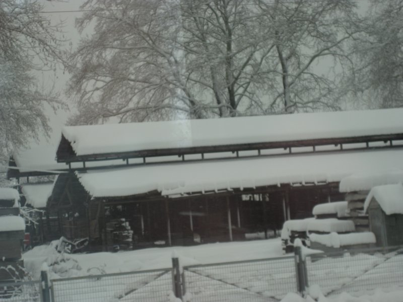 Building in the snow
