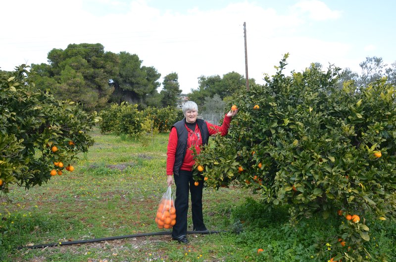 Gwen, the orange picker, Corinth