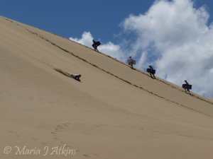 Dune Surfing / Surfing en las Dunas