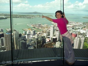 Auckland View / Vista de Auckland