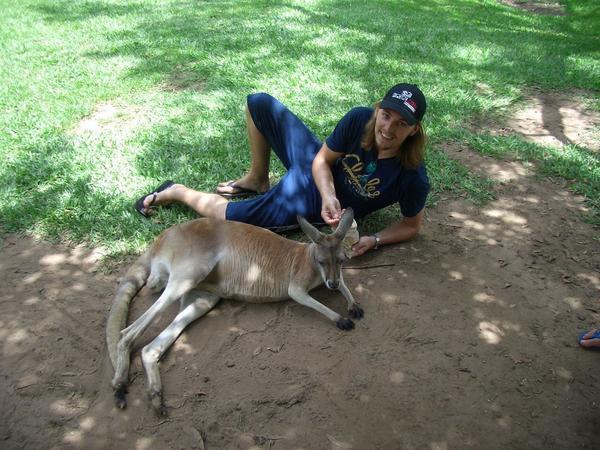 Chillin' with the roos
