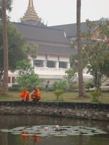 Monks Reflecting