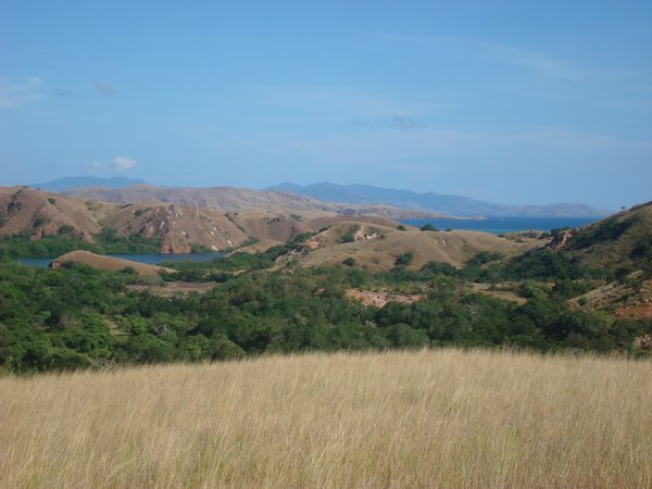 Komodo Landscape