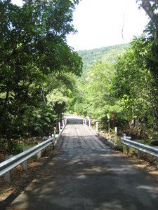 The road to Cape Trib
