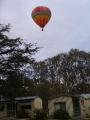 Balloons over Rutherglen