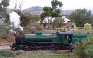 the Picchi Ricchi steam train