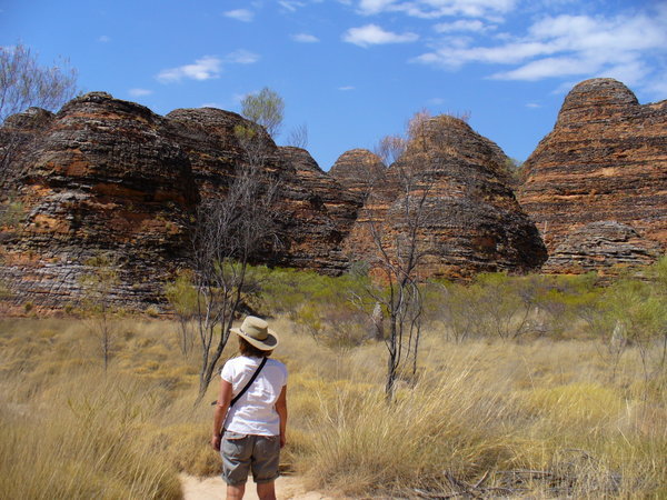 Bewitched by the Bungles