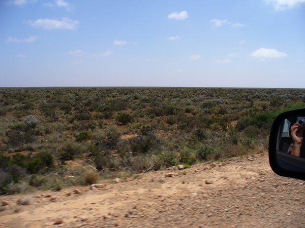 The real Nullarbor