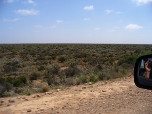 The real Nullarbor