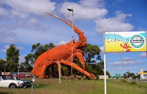 The Big Lobster!! 