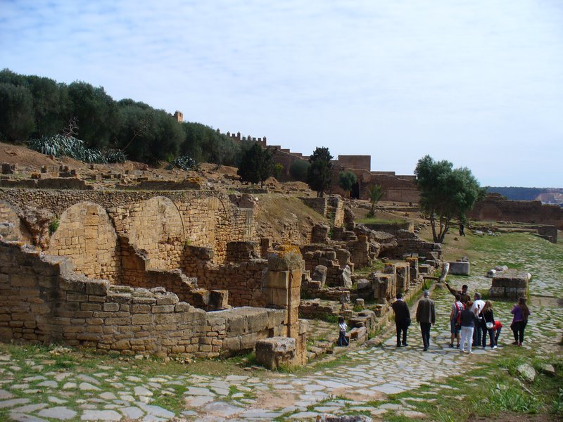 Roman ruins at Chellah