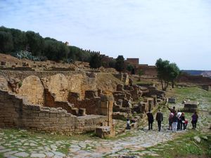 Roman ruins at Chellah