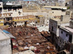 The Fes tannery