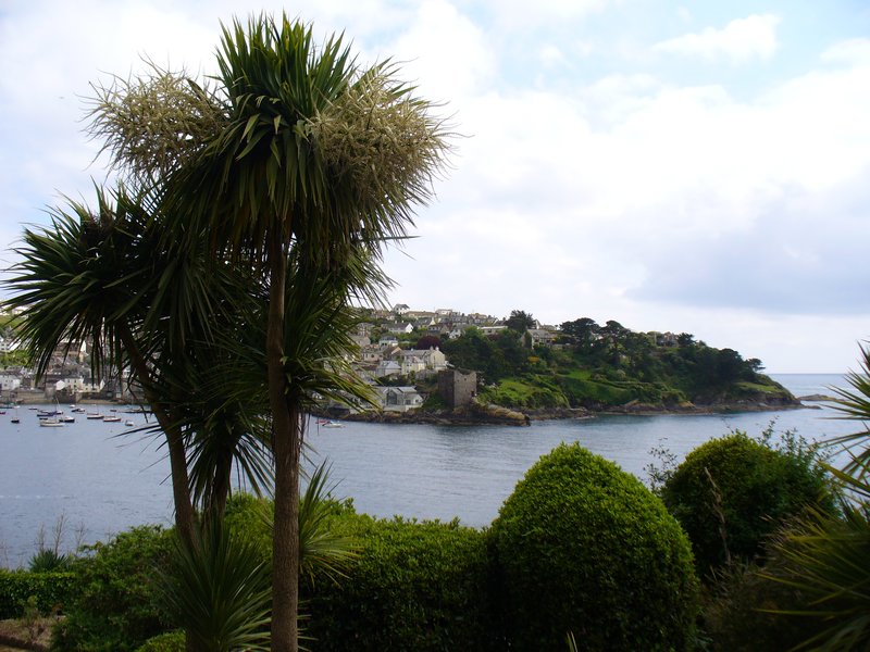 Castles and cabbage trees