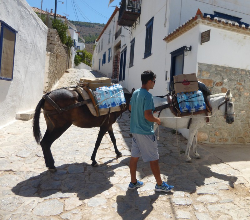 donkeys are the only method of transport on Hydra