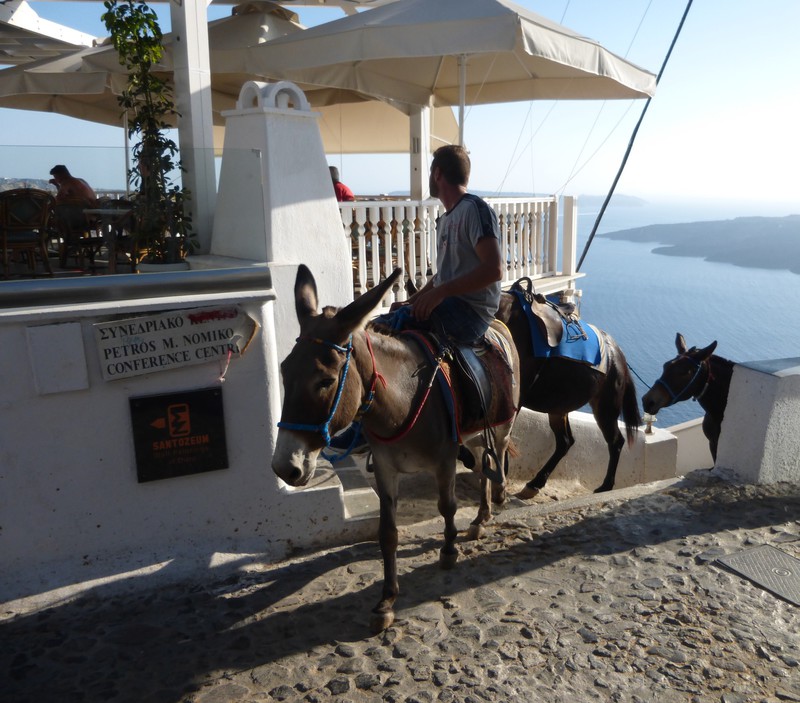 donkeys - the favourite method of transport from the port