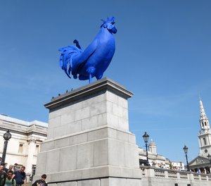 a blue rooster - why not. latest sculpture in Trafalgar Square