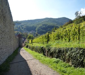town walls and Sipp vineyards, Ribeauville
