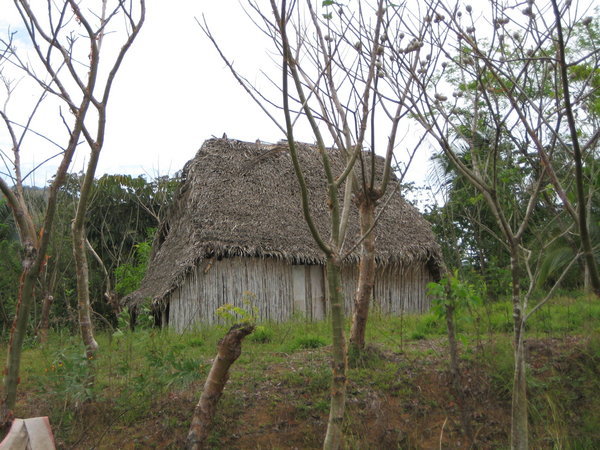 Local hut