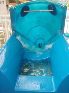 gaz goin down the slide at water world