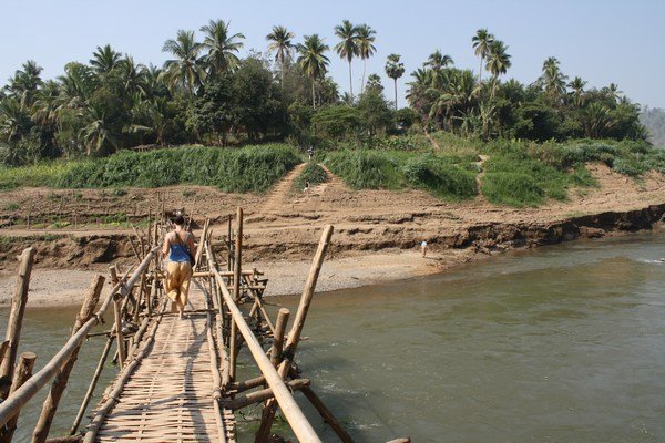 The bamboo bridge