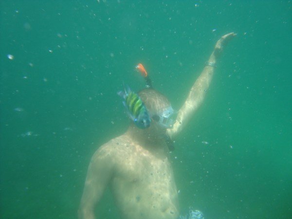 Snorkeling with the fishy