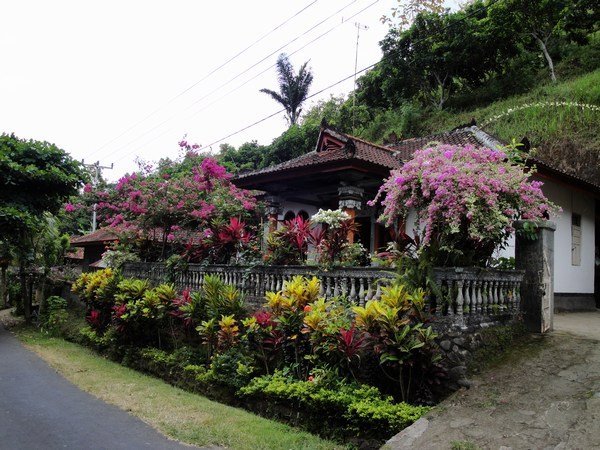 Village house with beautiful garden