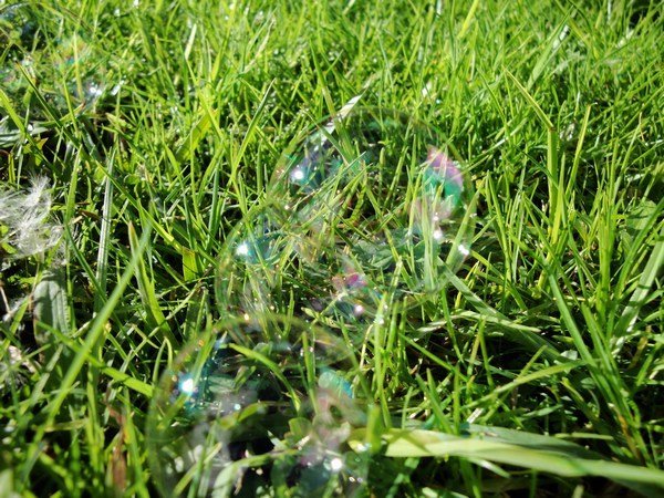 Bubbles! Bubbles! Bubbles! Keira's bubbles!
