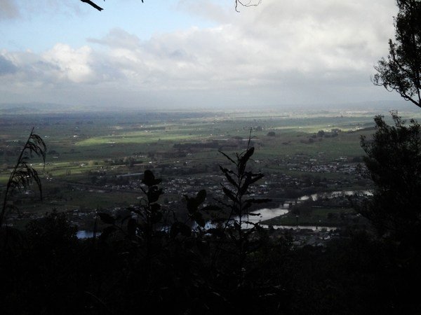 View of Nganuawahia