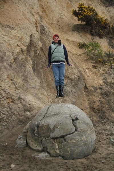 Hovering Talita spotted at the Moeraki Boulders