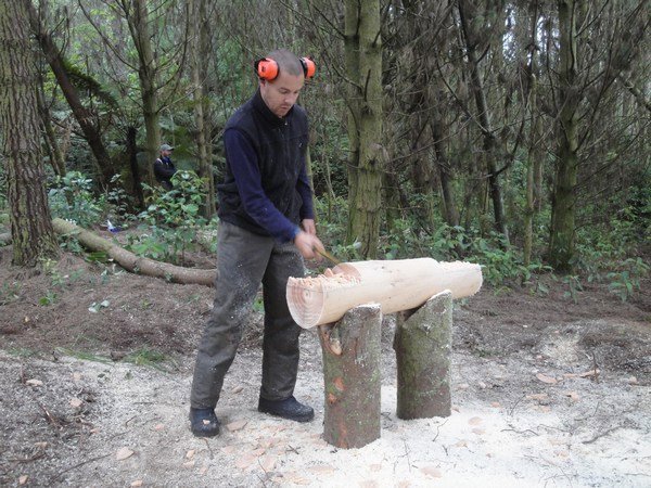Ferdi flattening the log