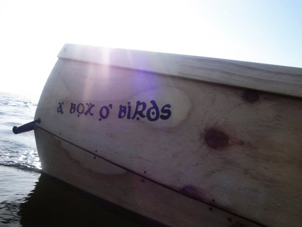 a Box o' Birds