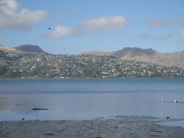The suburb of Sumner across the estuary