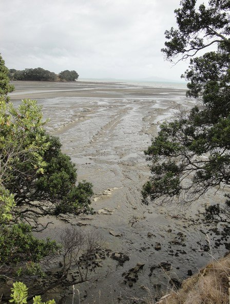 The tide's out, leaving hundreds of meters of exposed seabed