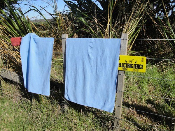 Hanging wet towels on an electric fence...